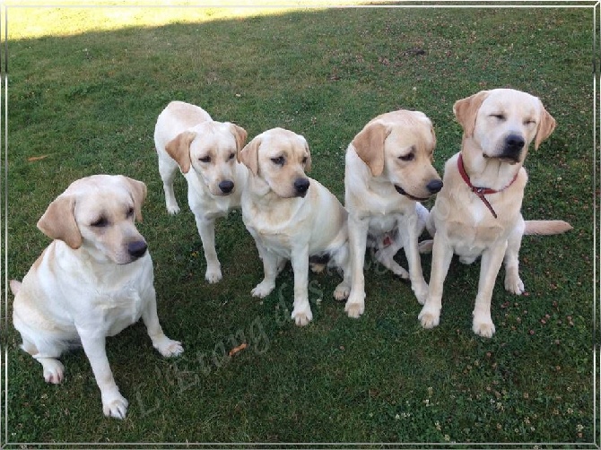 De L'etang Des Vignerons - PHOTO DE FAMILLE