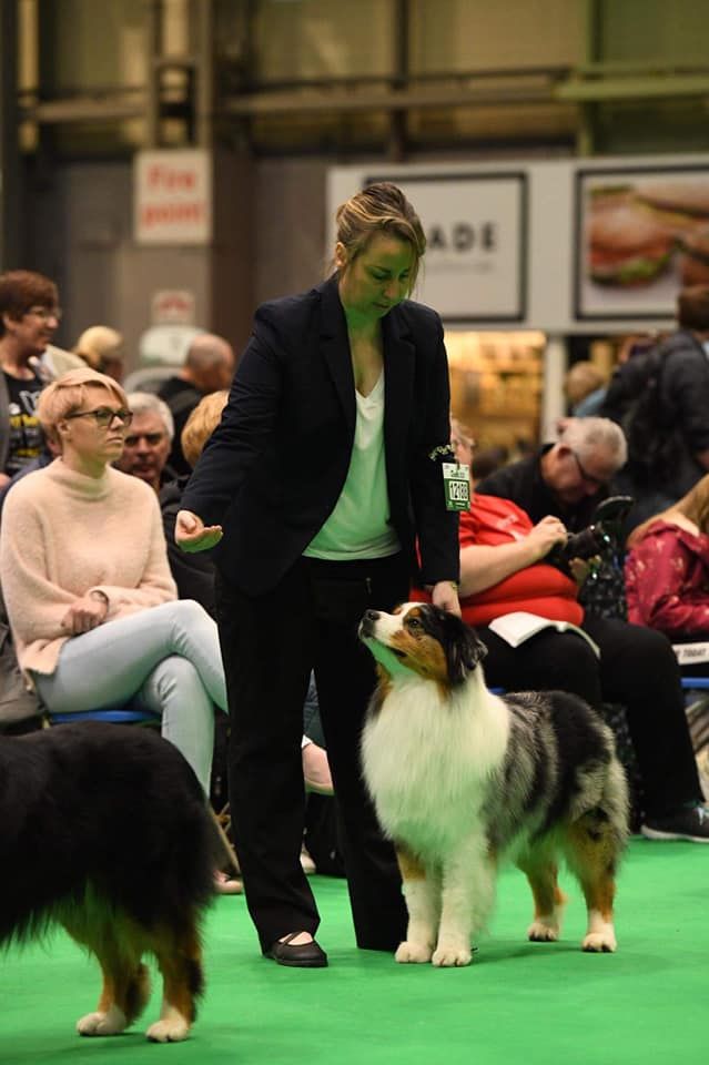 Du Domaine Du Boisgeloup - CRUFTS 2020