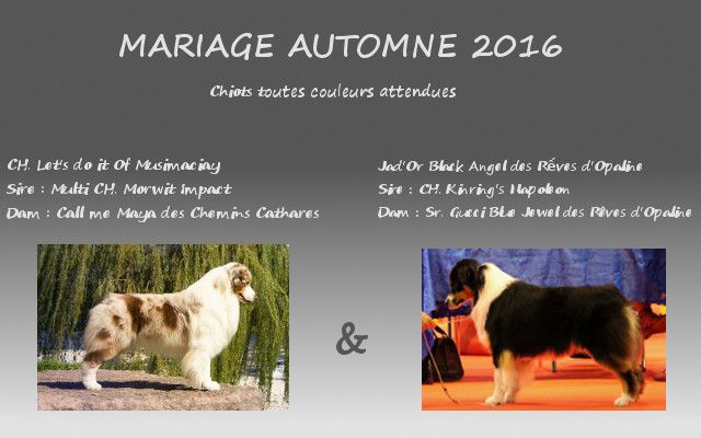 Du Domaine Du Boisgeloup - Mariage automne 2016