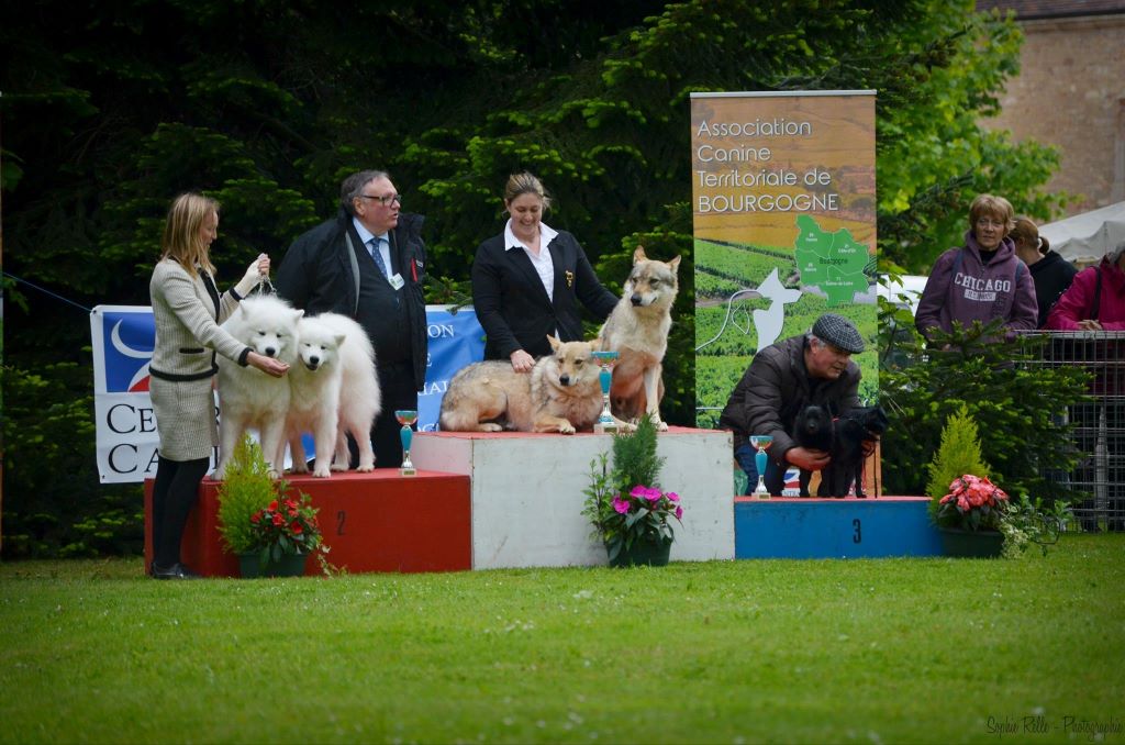 De Natacha Koungasalakh - Exposition nationale Saint Ambreuil 2017