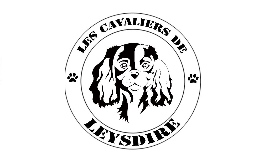 des Cavaliers De Leysdire - RETRAITES