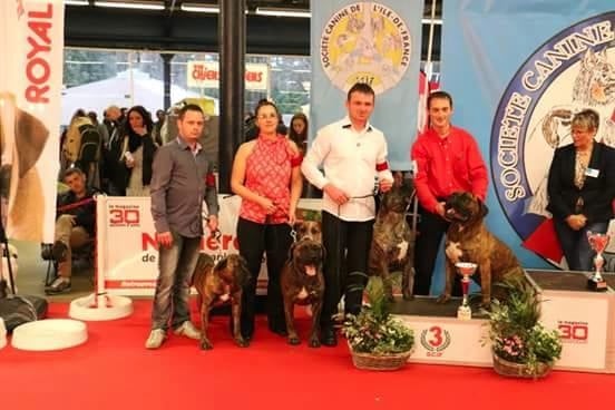 Paris Dog Show 2015