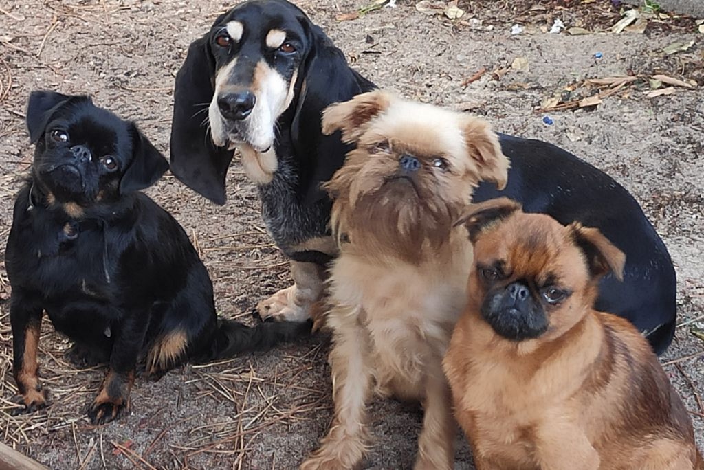 La famille du Bleu Médoc