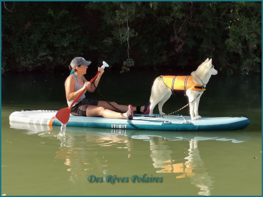 des rèves polaires - Angel fait du paddle