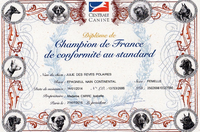 des rèves polaires - Diplôme de Julie : Championne de France