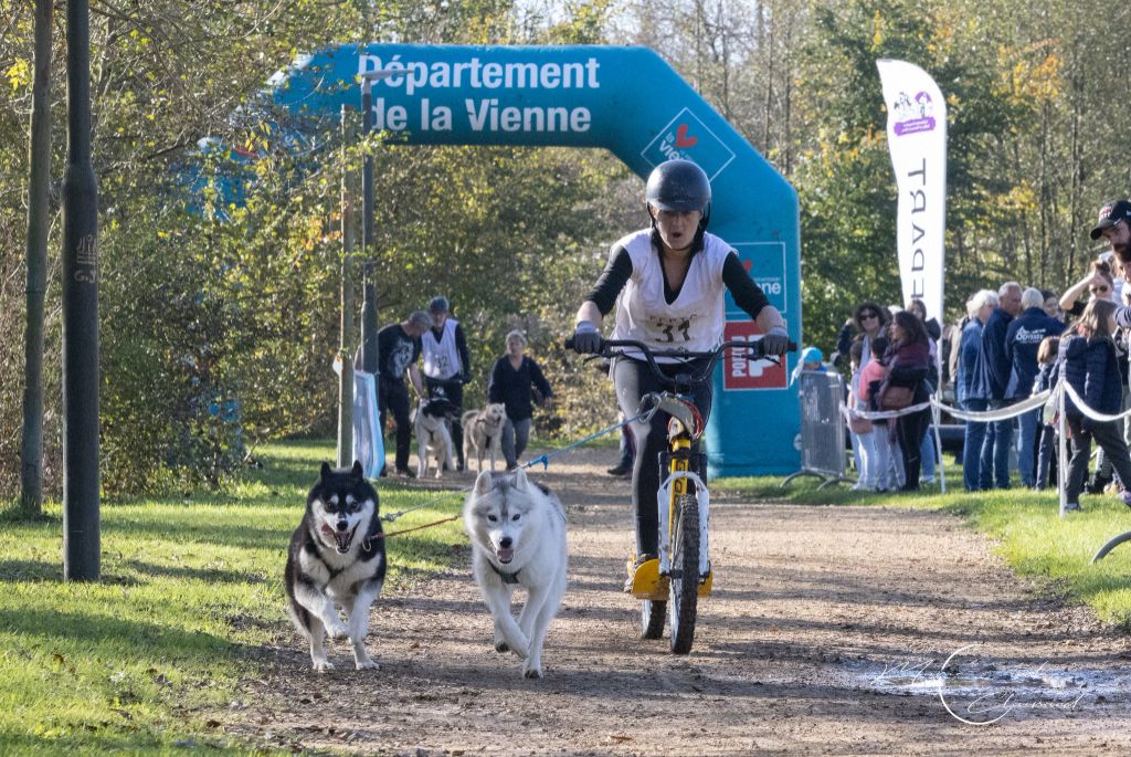 des rèves polaires - 1ère course Terre pour Rocky