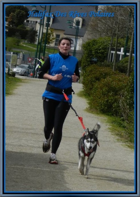 des rèves polaires - Halifax au cani-cross de Quéven (56)