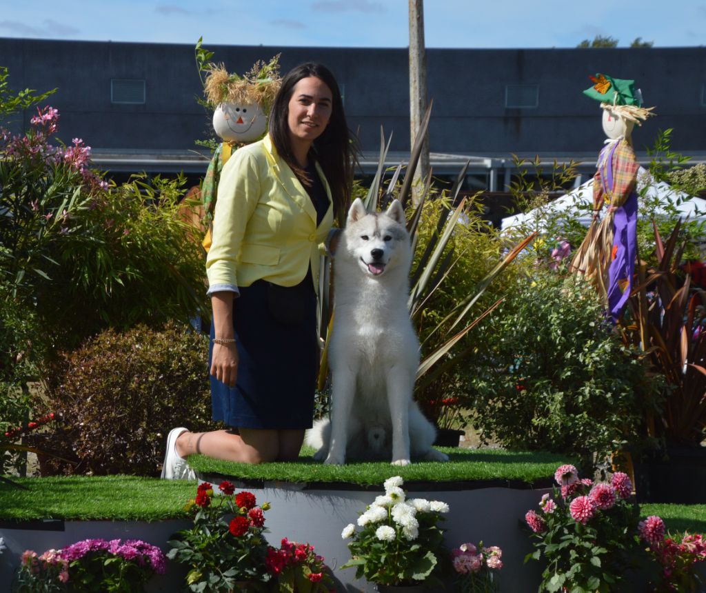 des rèves polaires - Exposition Canine de Chateaubriant (44)