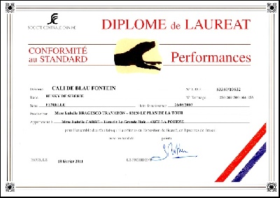 des rèves polaires - Diplôme de CH.Lauréat Standard Performance