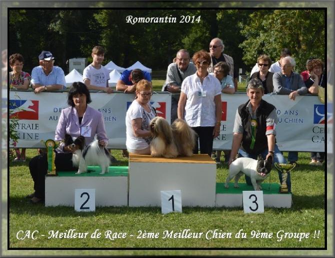 des rèves polaires - De superbes résultats à l'expo de Romorantin