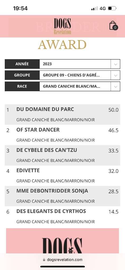 Du domaine du parc - Meilleur élevage 2023 de grands caniches 