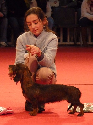 de l'écho d'Elodie - Montluçon 2013