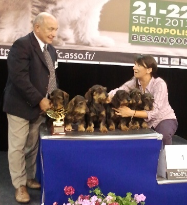 de l'écho d'Elodie - Expo de Besançon