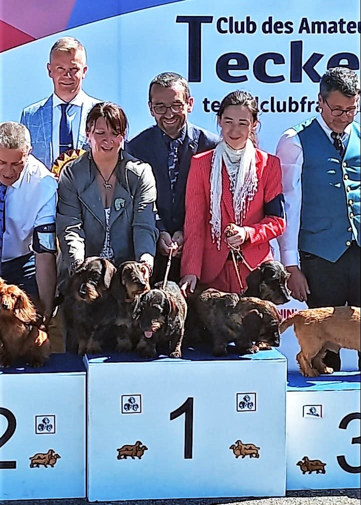 de l'écho d'Elodie - Résultats de la Nationale d'élevage 2022