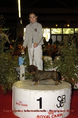 de l'écho d'Elodie - Junior handling de Perpignan