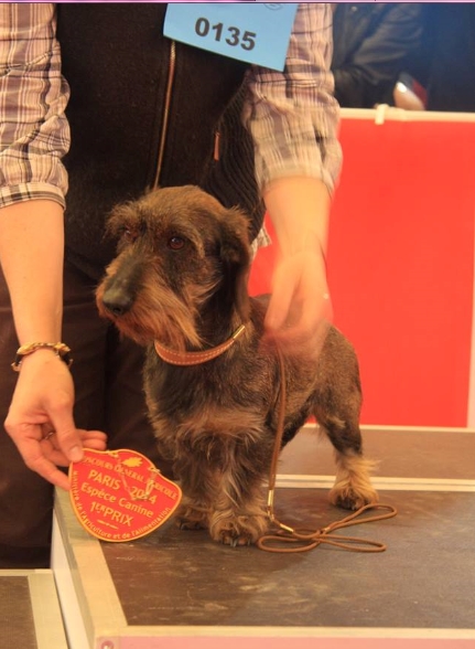 de l'écho d'Elodie - Gamine au salon de l'agriculture!!