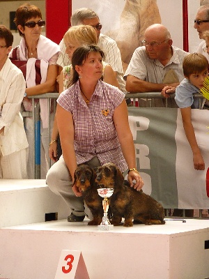 de l'écho d'Elodie - Brives: CACS, CACIB, 2d, 3ième.....