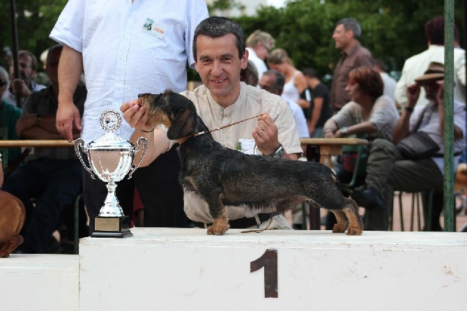 de l'écho d'Elodie - Meilleur de groupe pour la deuxième fois à Châtel Guyon