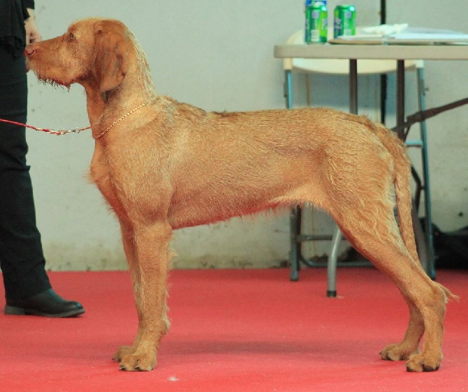 de l'écho d'Elodie - Meilleure jeune à Montluçon