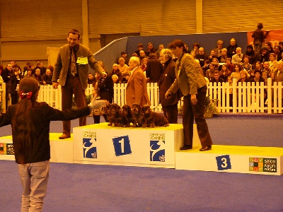 de l'écho d'Elodie - Carton plein au salon de l'agriculture!!!