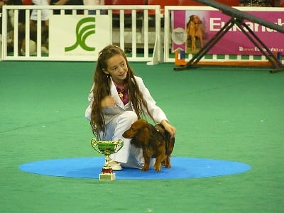 de l'écho d'Elodie - Candice et Duchesse au championnat de France