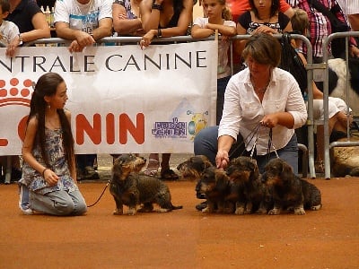 de l'écho d'Elodie - Balmine's family à Macon