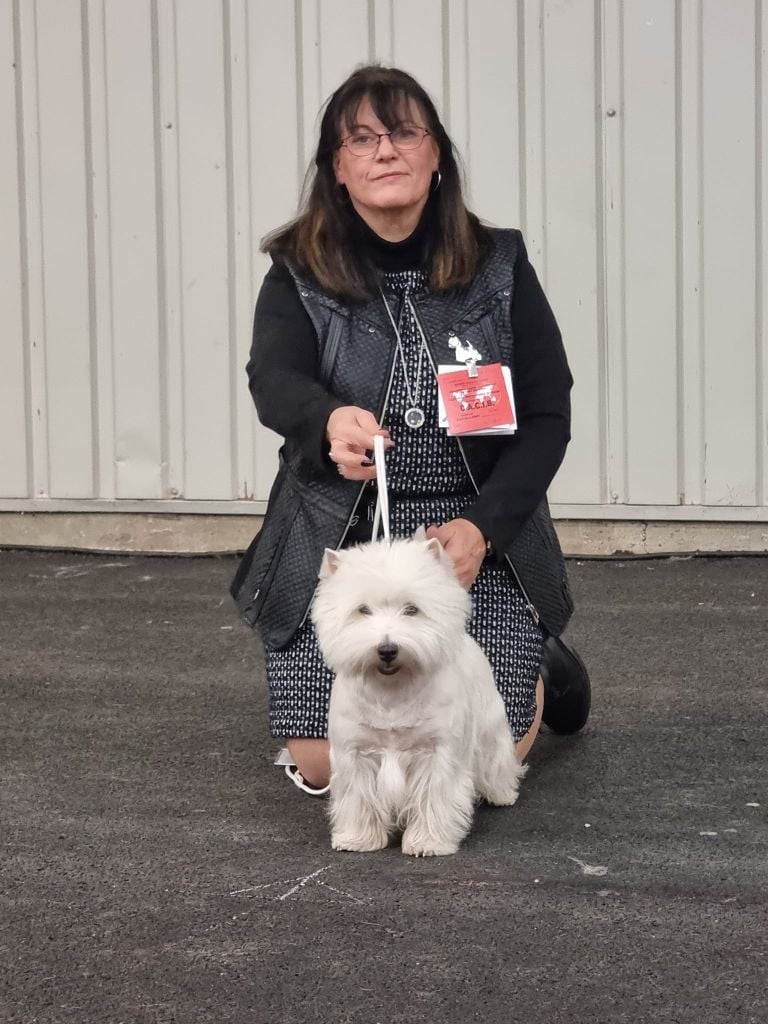 International Dog Show Rouen 05/12/22