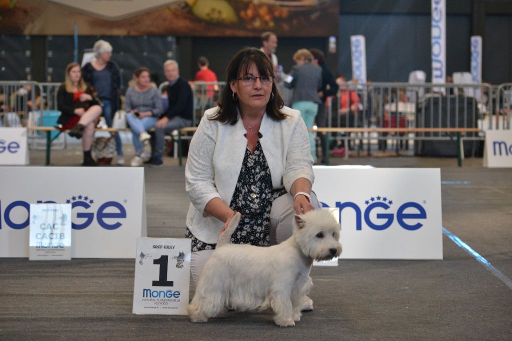 Des Petites Sorcières - 52ème Flanders Dog Show 08/05/2022