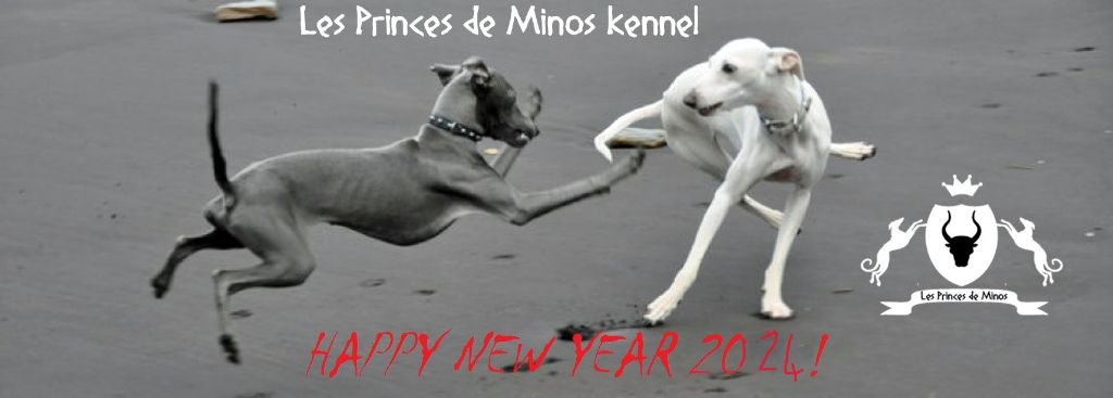 des princes de minos - BONNE ANNEE 2024