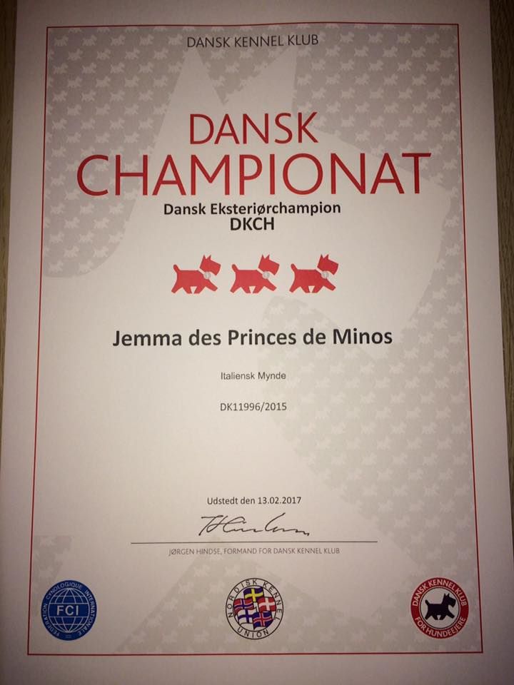 des princes de minos - JEMMA DES PRINCES DE MINOS