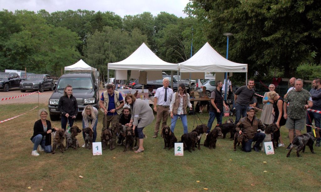 Du Val Des Houchis - Nationale d'élevage 2019