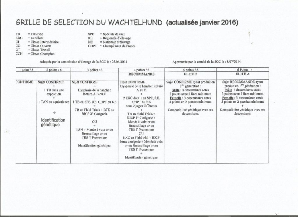 Du Val Des Houchis - Prochainement TAN, Field lapins et BICP