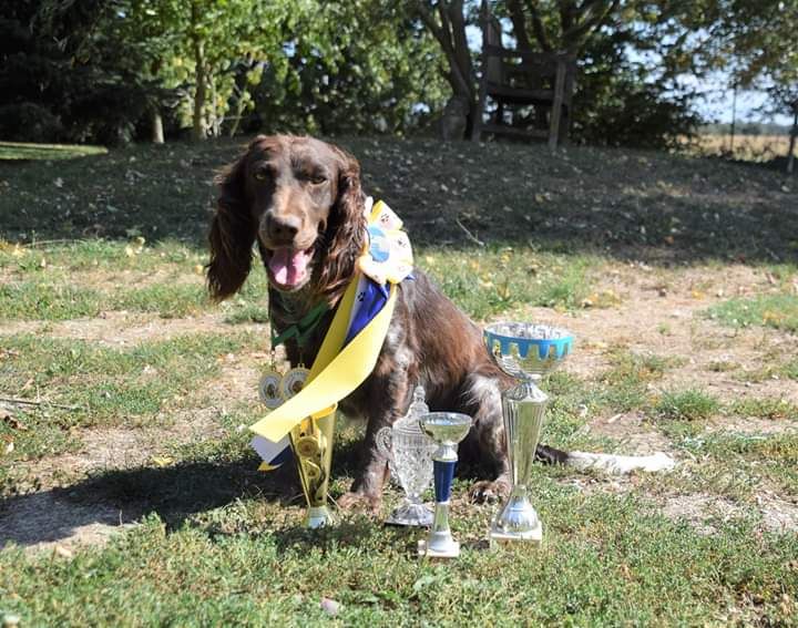 Du Val Des Houchis - Noisette championne de France