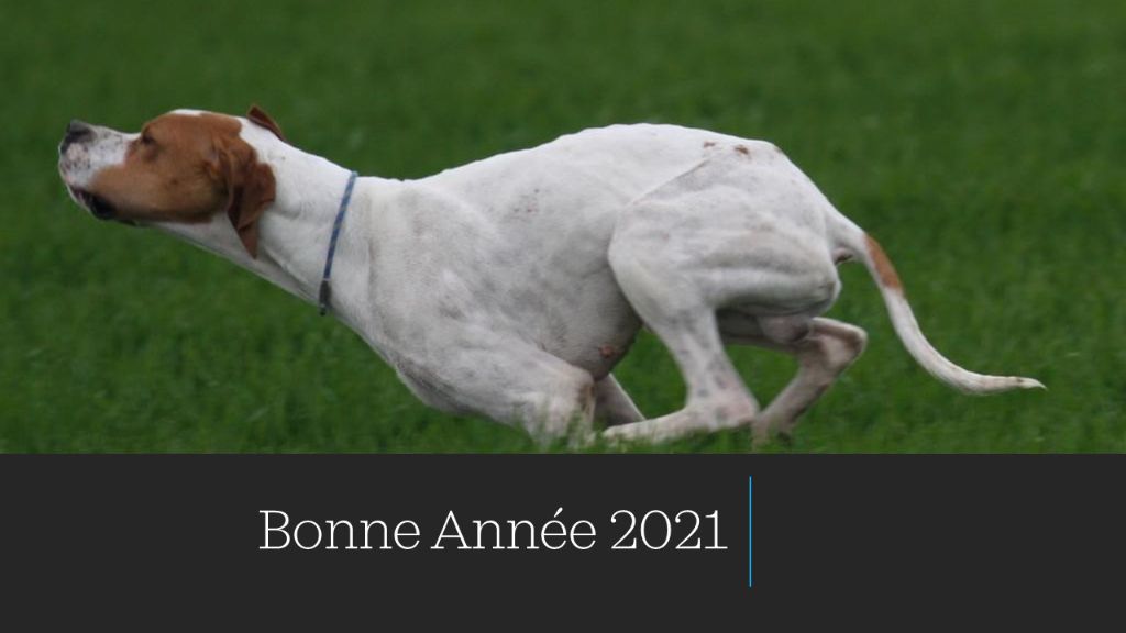 De ker avel - Bonne Année 2021