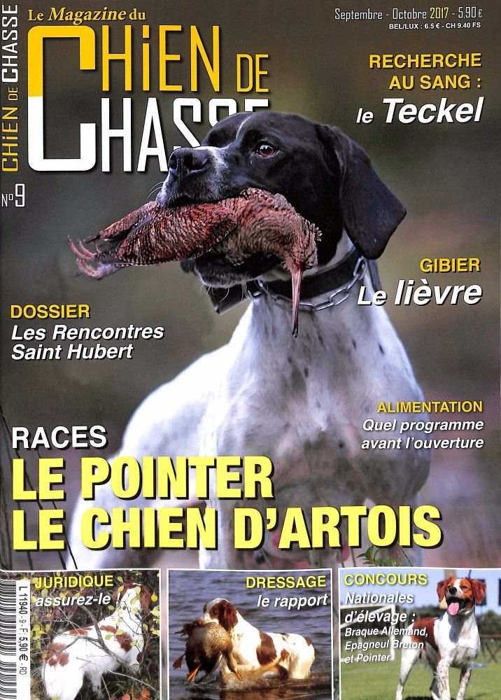 De ker avel - Chien de Chasse n°9