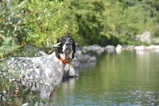 De ker avel - Pipa découvre les rivières d'Ardèche