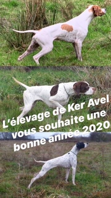 De ker avel - Bonne Année 2020