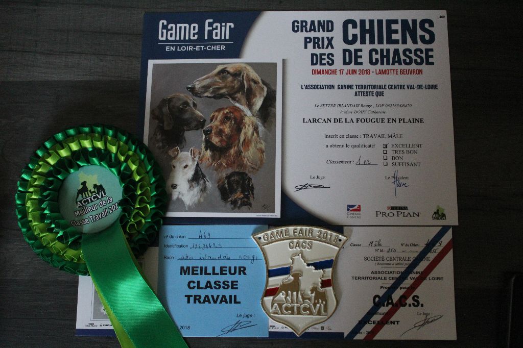 De La Fougue En Plaine - Spéciale de race game fair 2018