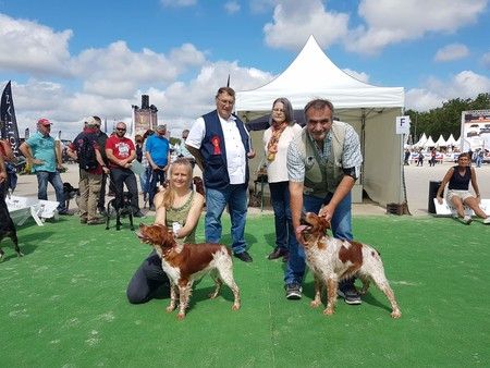 De La Belle Du Bois Jolly - Resultats exposition GAME FAIR