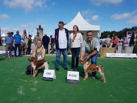 Resultats exposition GAME FAIR