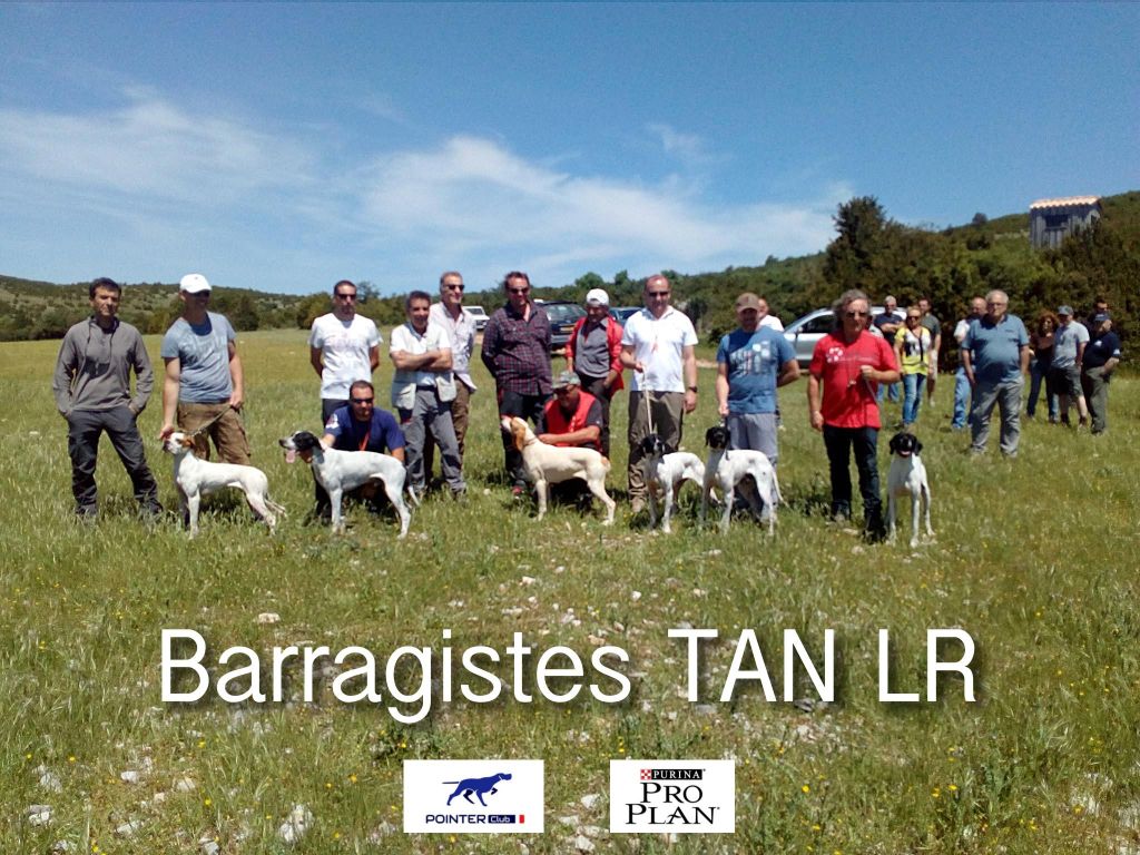 Des Rousses Des Balmes - Les barragistes pour la finale des jeunes pointers