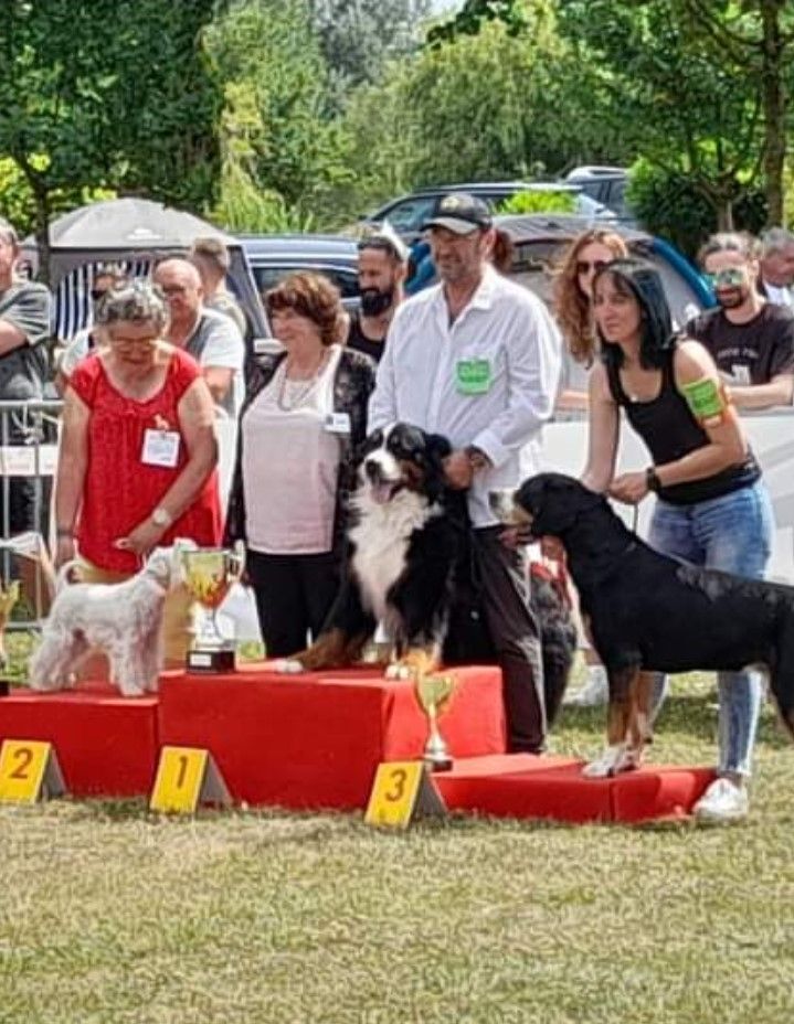 CACS Aigrefeuille d'Aunis 15 mai 2022 Charente Maritime