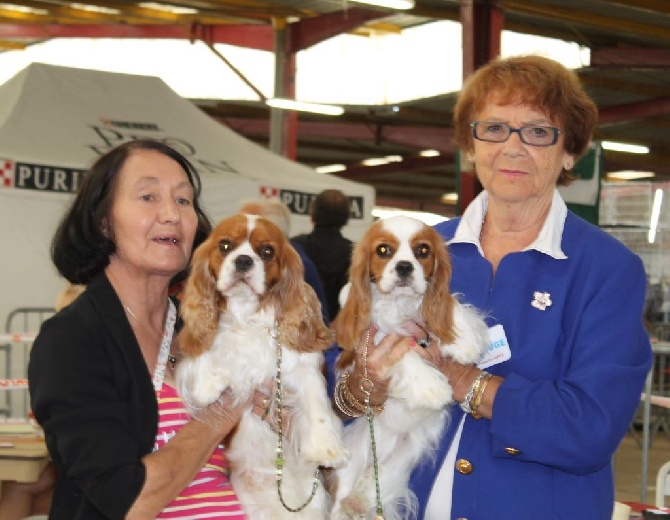 Des Hauts De La Chaume - 23 Août 2015 Exposition Nationale de Château Gontier