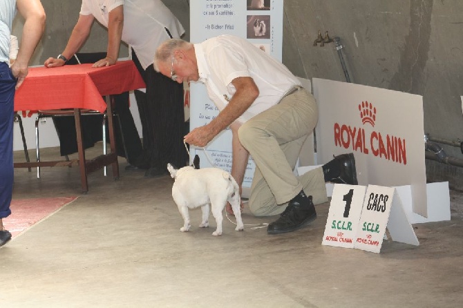 L'Odyssée D'Héraclés - Exposition Internationale D'Alès Du 10/07/2016