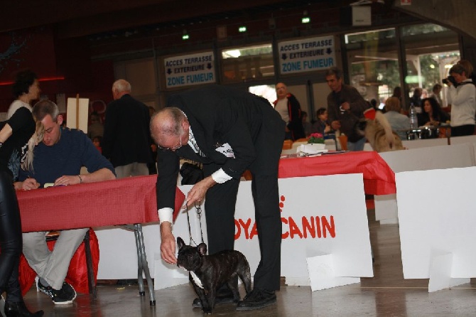 L'Odyssée D'Héraclés - Exposition Internationale de Perpignan Du 23/01/2016