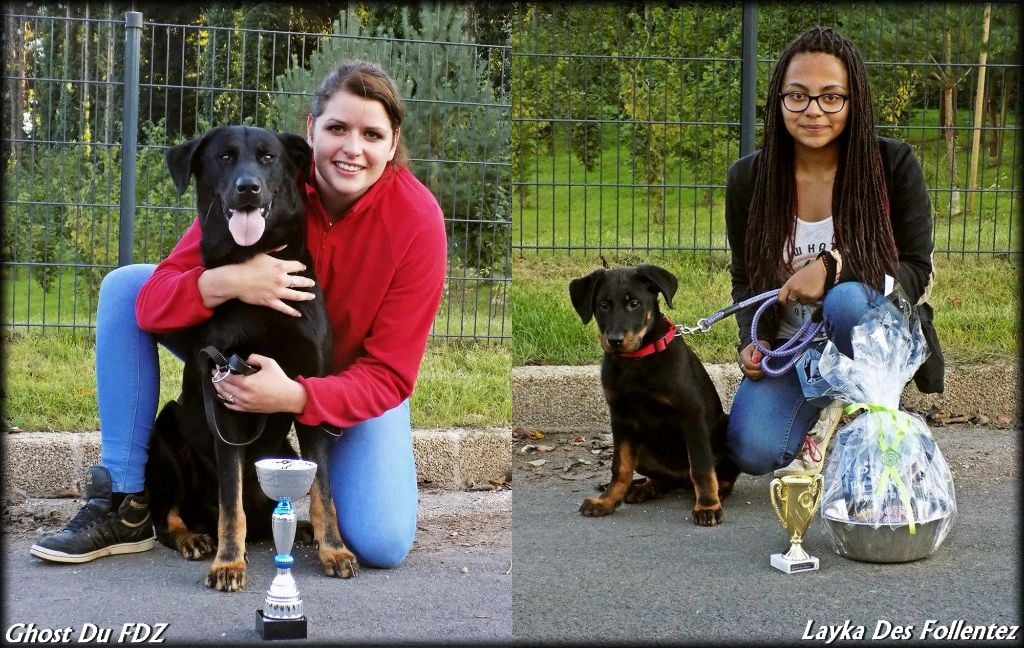 Des Follentez - Journée Beauceronne du 20/09/2015 à Pluméliau (56)