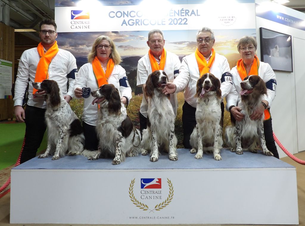 de la vallée de la seulles - La médaille de Bronze pour notre Affixe