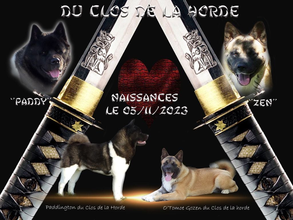 Du Clos De La Horde - 2023 / ZEN & PADDY, naissance des bébés.