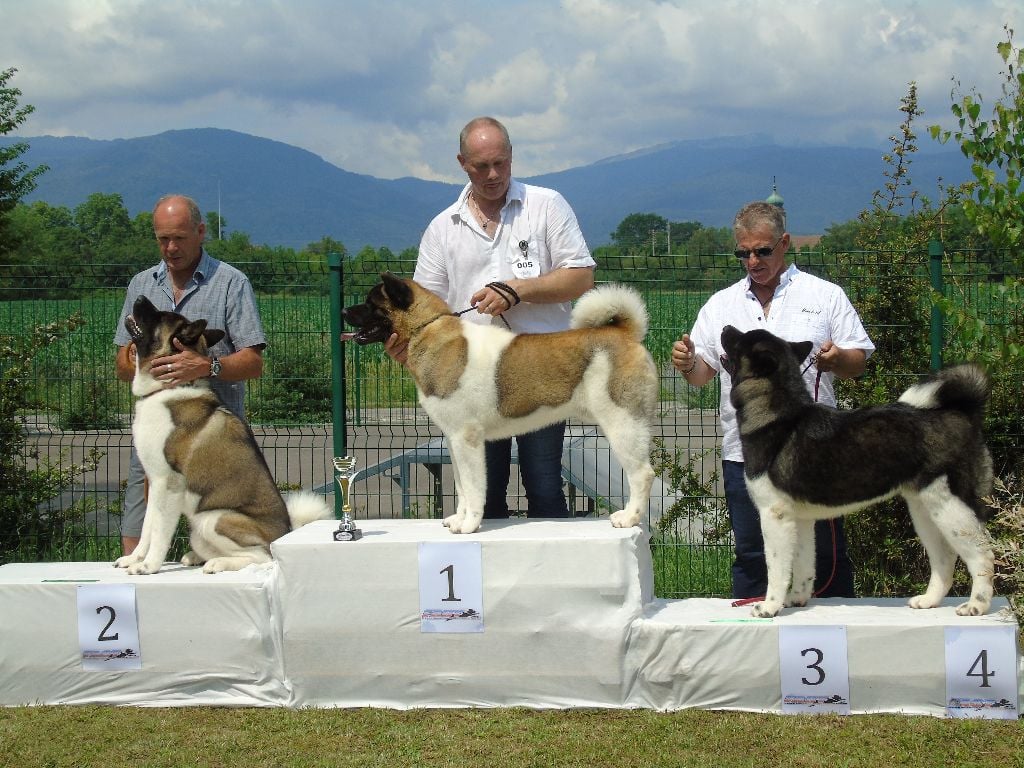 Du Clos De La Horde - Régionale d'Elevage Alsace le 9 JUIN 2018