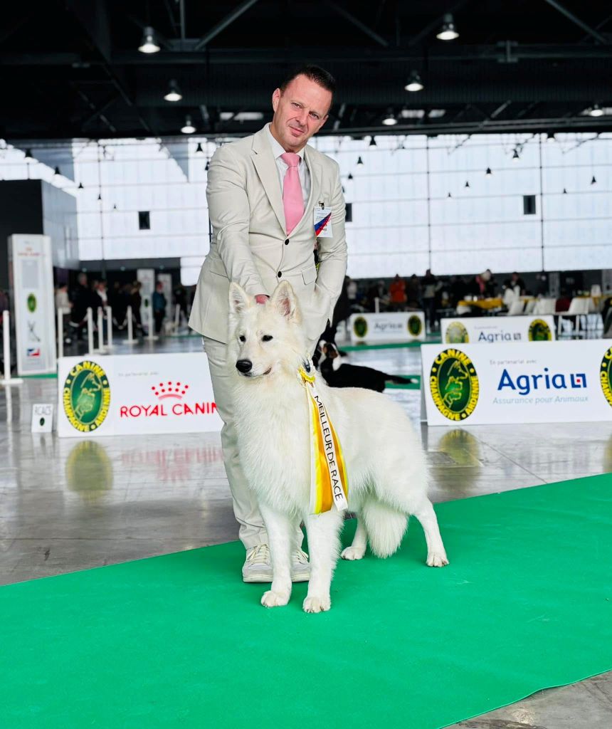 Kako remporte le meilleur de race à Chalons en Champagne